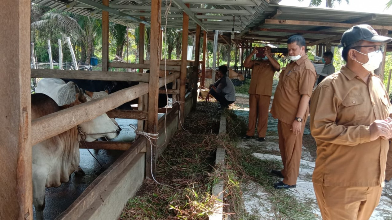 Wabah PMK, Dinas Pangan Dan Pertanian Kabupaten Karimun Perketat ...