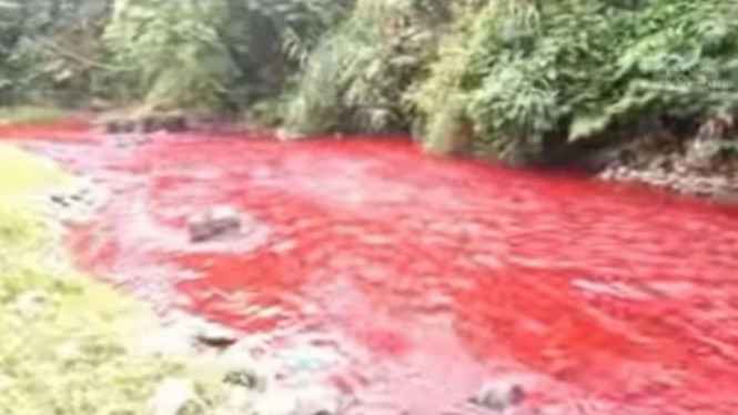 Ternyata Ini Penyebab Pencemaran Aliran Sungai Berwarna Merah Darah Di