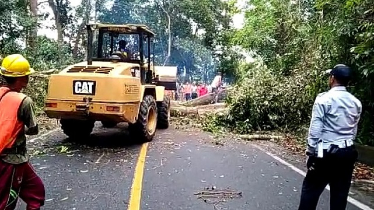 Akses Jalan Liku Sembilan Bengkulu Ditutup Total, Ini Alasannya
            - galeri foto