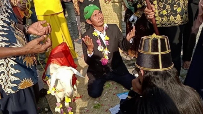 astonishing!  It turns out that the marriage of a man with a goat in Gresik was attended by members of the DPRD