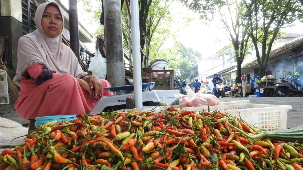 Harga Cabai Rawit Di Lumajang Makin Pedas, Tembus Rp100 Ribu Per Kilogram