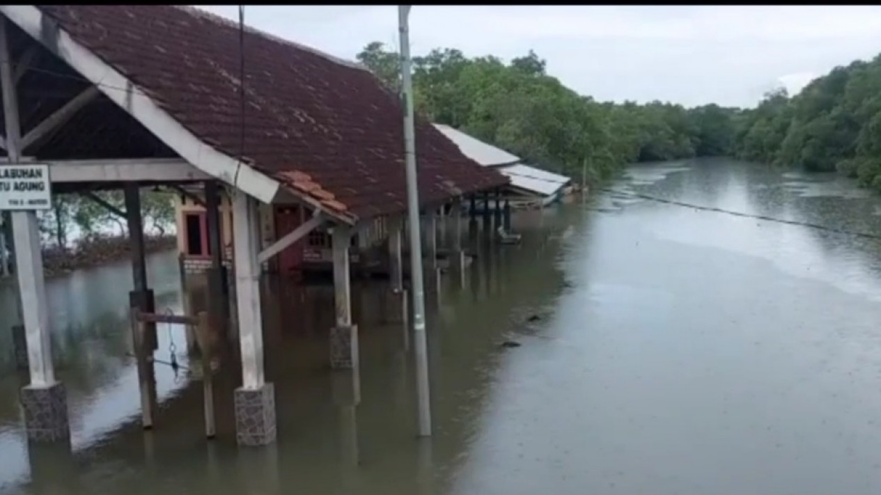 Banjir Rob Rendam Ratusan Hektar Tambak di Gresik, Ribuan Ton Ikan Hilang
            - galeri foto