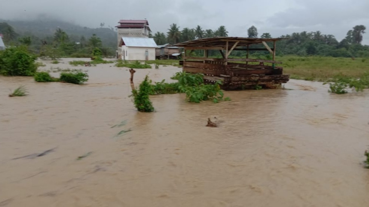 Penampakan Belasan Rumah Warga di Buol Terendam Banjir
            - galeri foto