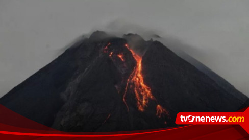 Gunung Merapi Kembali Muntahkah Lava Pijar, Jarak Luncur Capai 1.800 Meter