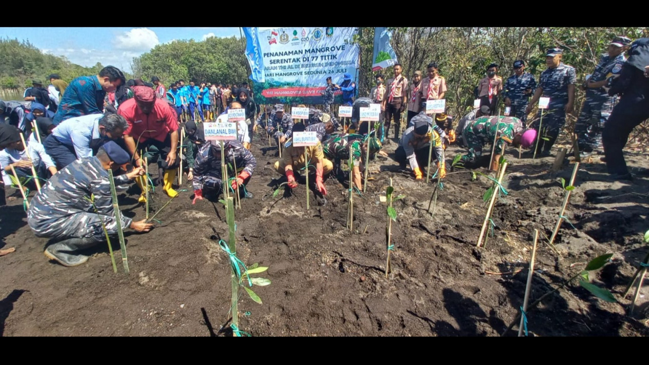 Cegah Abrasi dan Ekosistem Laut, Puluhan Pelajar dan Mahasiswa Tanam Ribuan Pohon Mangrove
            - galeri foto