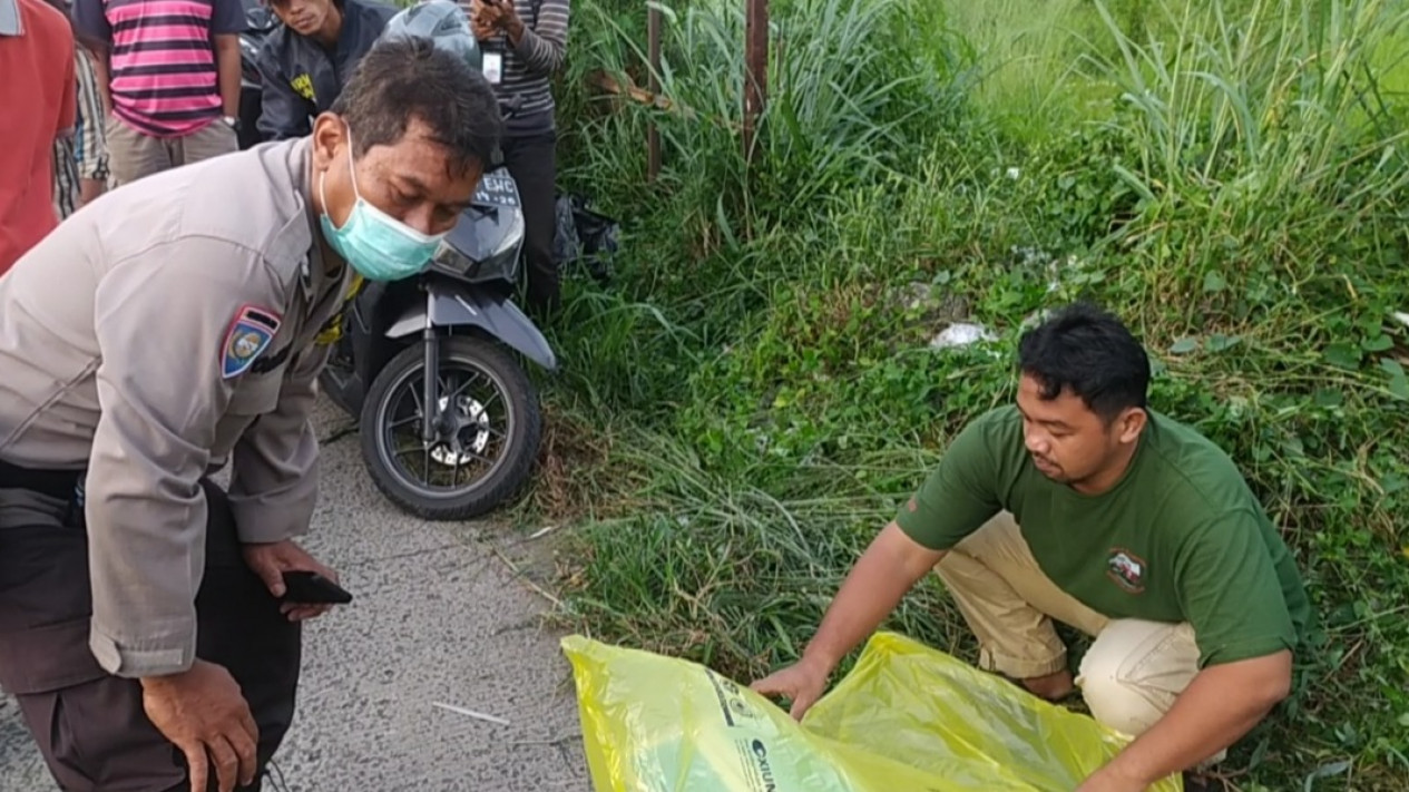 Dikira Bangkai Kucing, Warga Depok Kaget Temukan Mayat Bayi Terbungkus Kerudung dalam Tas Belanja
            - galeri foto