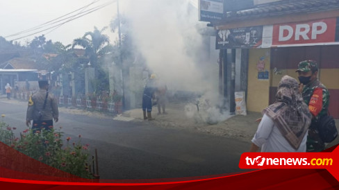 Antisipasi Penyebaran Demam Berdarah, Petugas Gabungan Di Blora Lakukan ...