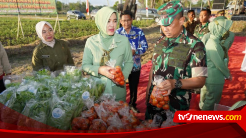 Wujudkan Kemandirian Pangan Di Sampang, Madura, Danrem 084 Bhaskara ...