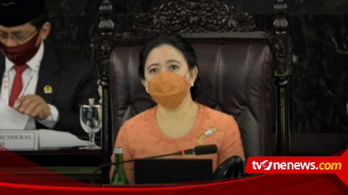 Maraknya Kasus Gagal Ginjal Akut Pada Anak, Ketua DPR Puan Maharani: Tetapkan Penyakit Ini sebagai KLB