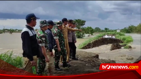 Tanggul Kali Lamong Sepanjang Meter Jebol Puluhan Hektare Sawah Gagal Panen Dan Ratusan