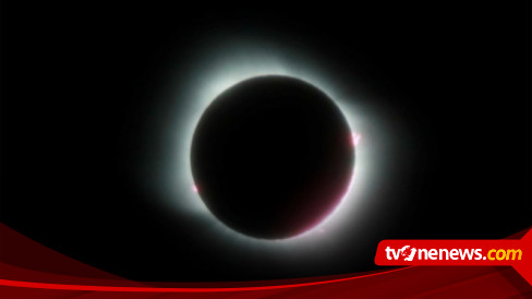 Gerhana Bulan Total Pada 8 November 2022, Kemenag Ajak Sholat Khusuf: Mari Doakan Kemajuan Bangsa