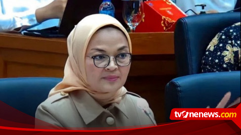 Kepala BPOM Didesak Dicopot, Komisi IX DPR: Itu Hak Prerogatif Presiden