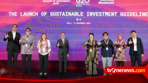 Indonesia Mendorong Sebaran Investasi ke Negara-Negara Berkembang Lewat Presidensi G20