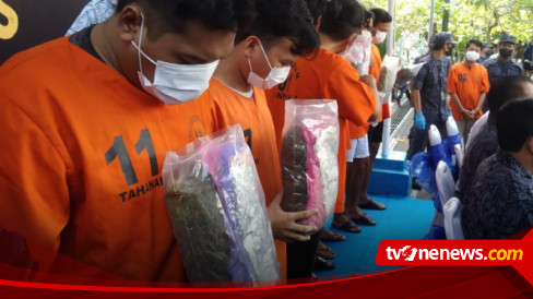 Pemasok Ganja Jaringan Mahasiswa Berhasil Diputus BNN Bali, Lima ...