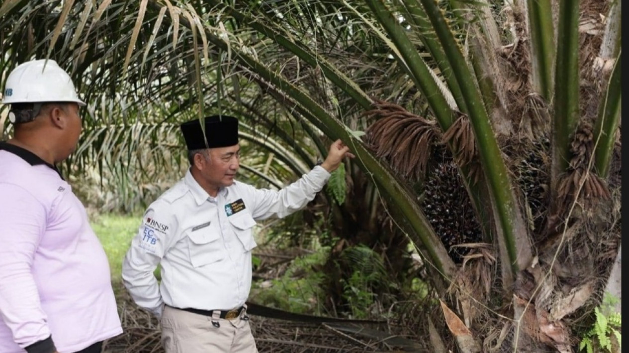 Butuh Tambahan Cuan, Pemda Musi Banyuasin Ajak Swasta Berinvestasi ...