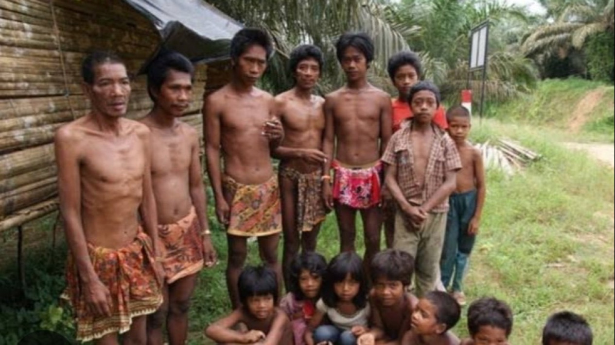 Suku Anak Dalam di Musi Banyuasin Mulai Didata untuk Mendapatkan Hak Sebagai WNI
            - galeri foto