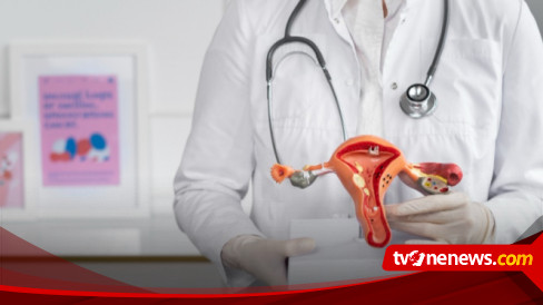 Gejala Kanker Serviks Jarang Disadari, Bio Farma Luncurkan CerviScan ...