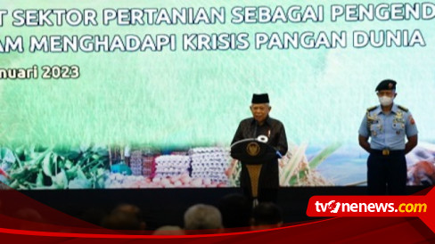 Wapres Apresiasi Kontribusi Sektor Pertanian Dalam Kendalikan Inflasi