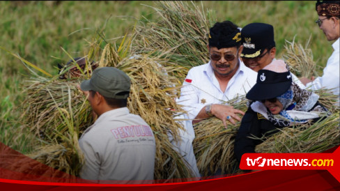 BPS: Panen Padi Kabupaten Bekasi Meningkat 3 Persen, Sangga Jabar dan DKI Jakarta