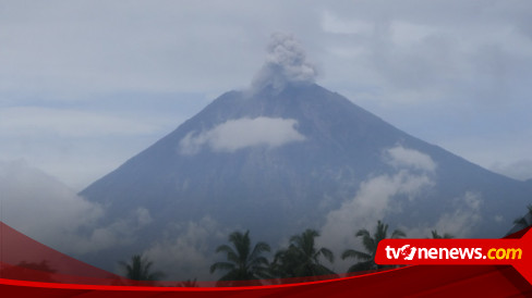 Alami Erupsi, Gunung Semeru Semburkan Kolom Abu Setinggi 800 Meter