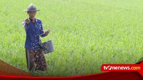 Momentum Panen Raya, DPR Minta Bulog Serap Gabah Petani Secara Maksimal