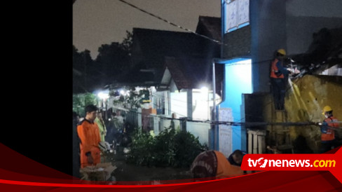 Jakarta Diguyur Hujan, Waspada Pohon Dan Reklame Tumbang