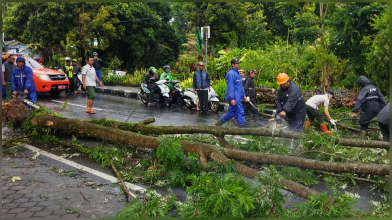 Hujan Disertai Angin Kencang Tumbangkan Pohon Dan Atap Rumah Warga Di Kota Batu Dua Pengendara