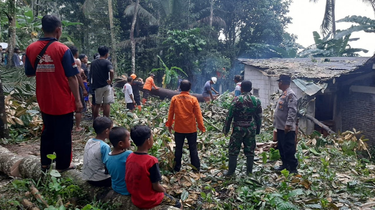 Hujan Angin Di Purbalingga, Tiga Pohon Tumbang Timpa Rumah Dan Tutup Jalan