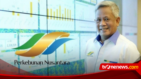 2 Sub Holding Perkebunan Akan Segera Terbentuk, Dirut PTPN III Beberkan ...