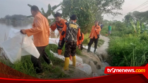 Antisipasi Banjir, Pemkab Grobogan Tinggikan Tanggul Sungai Tuntang