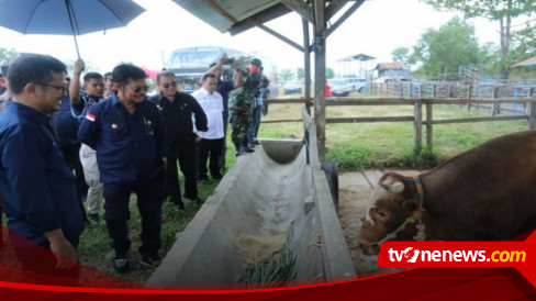 Dorong Provinsi Sulsel Jadi Sentra Sapi Potong Nasional, Mentan Yasin Limpo: Saya Jamin Untung