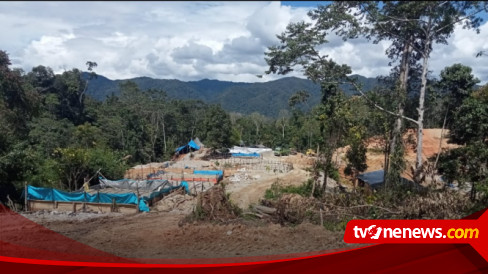 Tambang Emas Ilegal di Rampi masih Beroperasi, Diduga Dilindungi Aparat ...