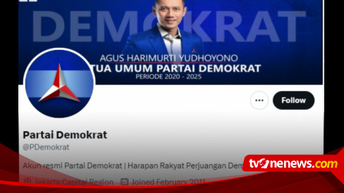 Jumlah Follower Mendadak Drop, Partai Demokrat Datangi Kantor Twitter, Denny Siregar: Semua Followernya Bot