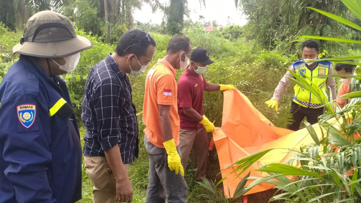 Geger Penemuan Mayat Wanita Tanpa Identitas Tinggal Tengkorak Di Areal Perkebunan Ptpn Ii 8568