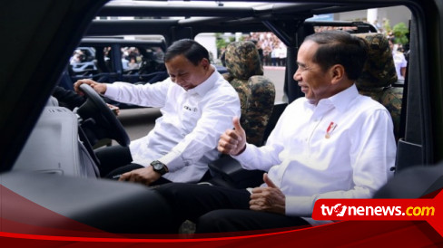 Berani Dan Kuat Jadi Kriteria Presiden Menurut Jokowi, Pengamat ...