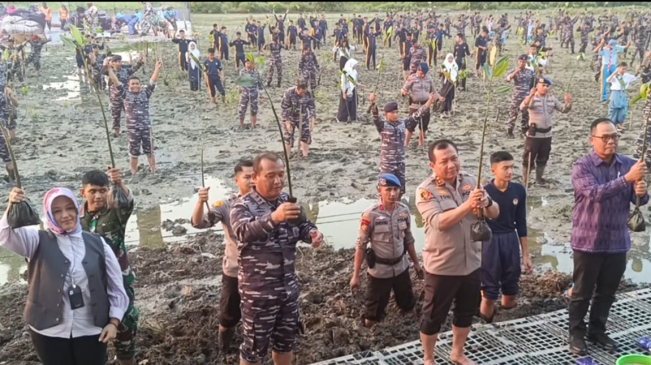 Perkuat Pertahanan Pantai di Surabaya, Koarmada II Tanam 20 Ribu Mangrove Serentak Dipimpin Jokowi
            - galeri foto