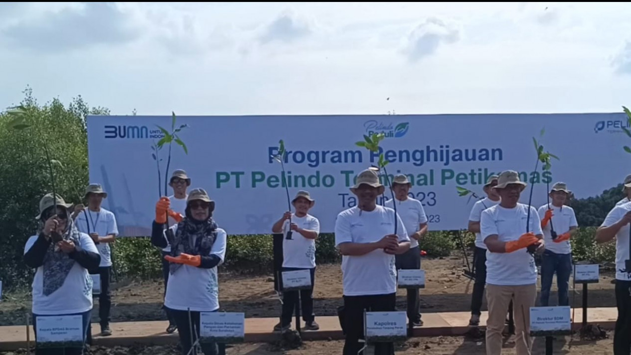 Wujudkan Pelabuhan Hijau, Warga Sontoh Laut dan Pelindo III Tanam 55 Ribu Bibit Mangrove
            - galeri foto