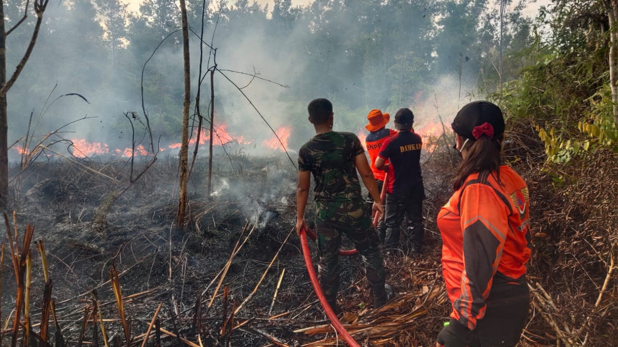 Bnpb Catat Sudah Ada 112 Bencana Kebakaran Hutan Dan Lahan Di Tanah Air