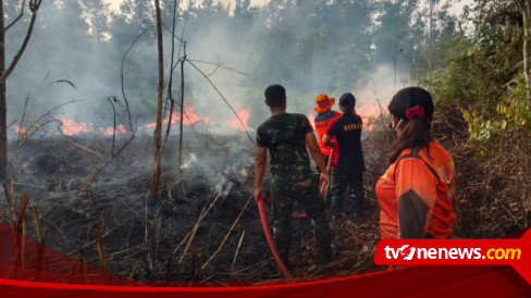 BNPB Catat Sudah Ada 112 Bencana Kebakaran Hutan Dan Lahan Di Tanah Air ...