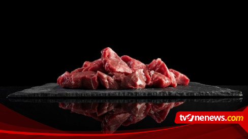 Daging Kambing Dam Akan Dikirim ke Indonesia dan Diberikan ke Daerah Terluar yang Butuh Asupan Protein dan Gizi Baik