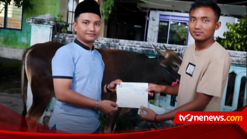 Kapolri Listyo Sigit Berqurban Sapi dengan Berat 512 Kilogram di Ponpes Zainal Abidin Gresik