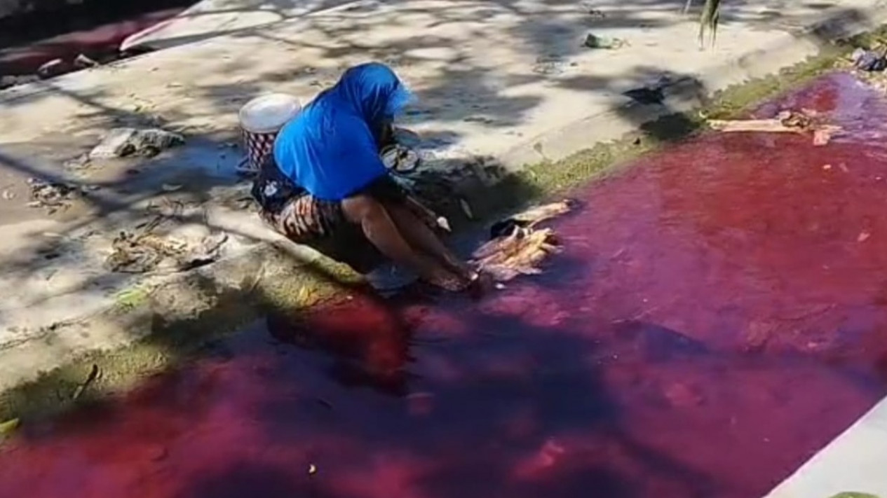 Terungkap, Pelaku Penyebab Air Sungai di Pamekasan Jadi Merah, Polisi: Karyawan Toko Bahan Kimia
            - galeri foto