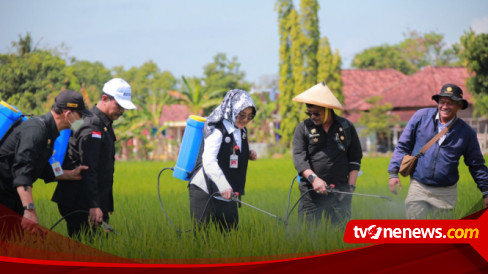 Mentan SYL Tinjau Penanganan Hama Wereng di Kabupaten Klaten