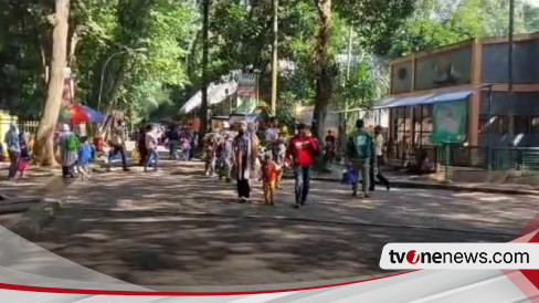 Warga Berbondong-bondong Tamasya Ke Ragunan Saat Musim Libur Tahun Baru ...