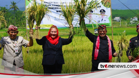 Mentan: Panen dan Tanam Padi di Kota Semarang Perkuat Ketersediaan Pangan Hadapi El Nino