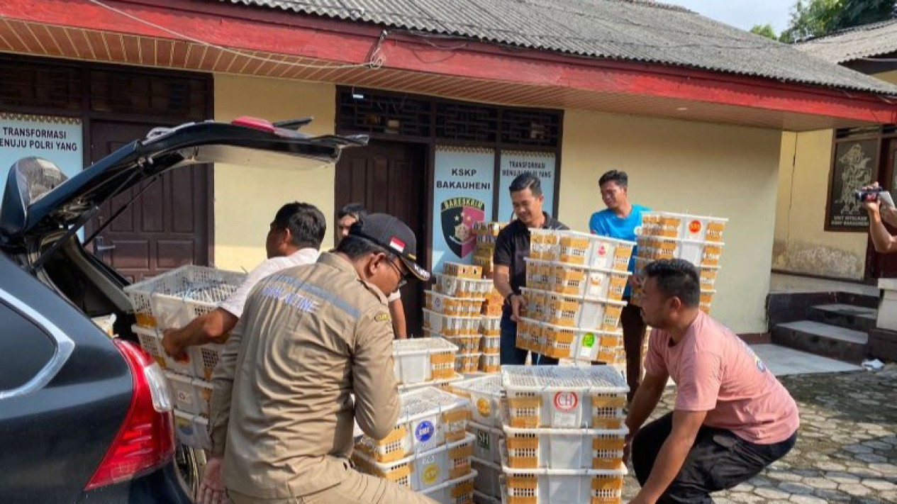 Polisi Lampung Selatan Gagalkan Penyelundupan 2.509 Ekor Burung
            - galeri foto