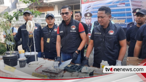 Jadi Pemakai Aktif, Wanita Muda Penanam Ganja Hidroponik di Kebon Jeruk Diringkus Polisi