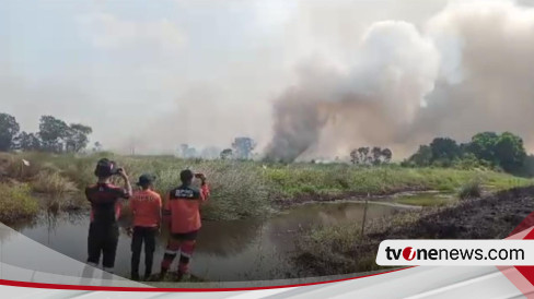 Memilukan, Kebakaran Lahan Di Ogan Ilir Terus Meluas, Sudah Dua Hari ...