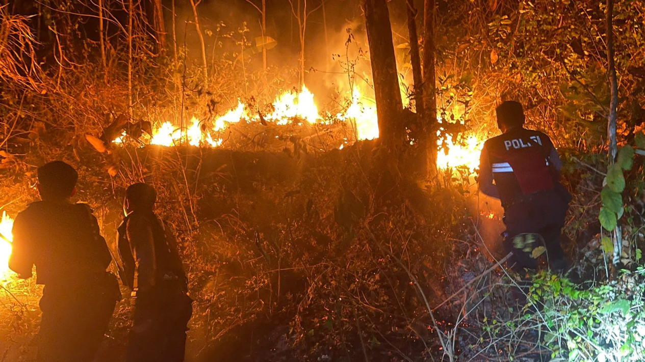 Hutan Jati di Gunung Bungkuk Magetan Terbakar, Polisi dan BPBD Lakukan Pemadaman
            - galeri foto