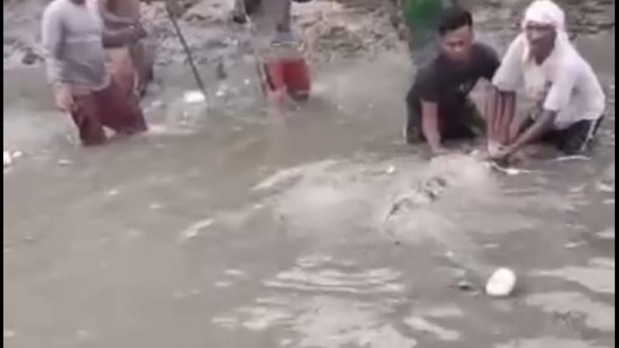 Seekor Buaya Muara Berukuran Besar Hebohkan Warga Banjarkemuning Sedati Sidoarjo
            - galeri foto